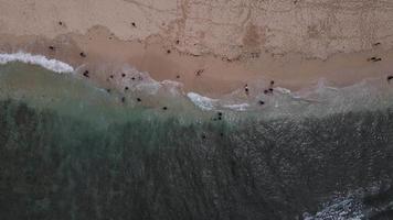 vista aérea de drones de personas de vacaciones en la playa de gunung kidul, indonesia video