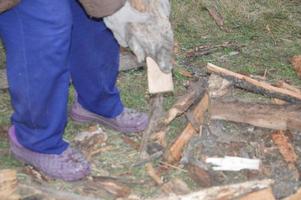 Collecting firewood after cutting for drying and heating the house photo