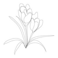 Spring crocus flower in continuous line art drawing style. Minimalist black linear sketch on white background. Vector illustration.