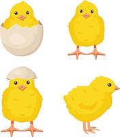 Set of cute baby chickens in different poses for easter design isolated on white background vector