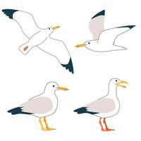 Set of cartoon atlantic seabird, seagulls. Vector flat style