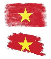 Vietnam flag in grunge style vector