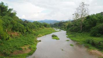 córregos naturais formados por florestas tropicais na Tailândia. video