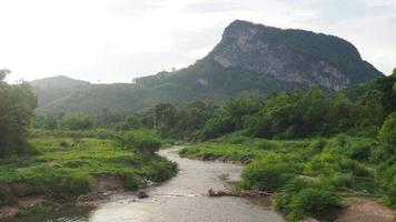 arroyos naturales formados por bosques tropicales en tailandia. video