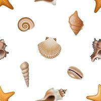 seamless pattern with shells. summer texture with seashells. vector