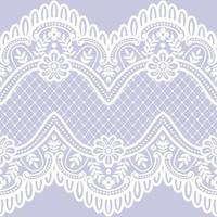 Lace seamless pattern with flowers vector