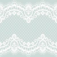 Lace seamless pattern with flowers vector