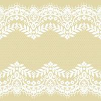 Lace seamless pattern with flowers vector