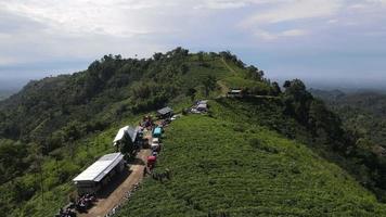 Flygfoto över teplantage i Kemuning, Indonesien med lawu bergsbakgrund video
