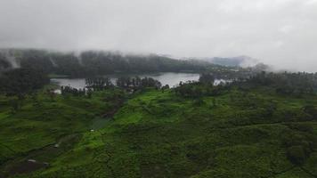 luftaufnahme des nebligen landschaftswaldes in situ patenggang, bandung, indonesien