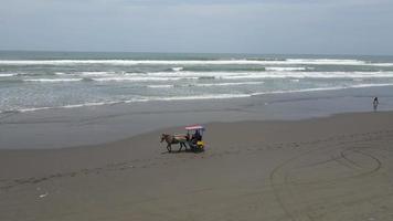 Aerial view of traditional horse cart ride on beach in Indonesia