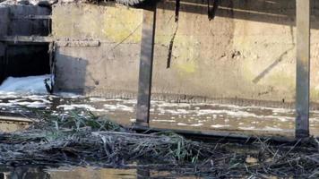 stadsafvoeren en vuil water stroomt langzaam de rivier in. rioolwater stroomt vanuit de stad het riool in. watervervuiling en industrieel afvalwater. mooi uitzicht op vervuilde waterlopen. het water dat werd gebruikt. video