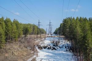 línea eléctrica de alto voltaje entre el bosque de coníferas a principios de primavera. foto