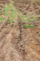 Wheel tracks of agricultural land photo