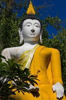 Buddha white and yellow bushes. photo