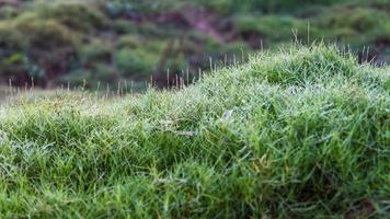 Steep grassy knoll photo