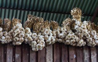 Garlic hanging wooden fence