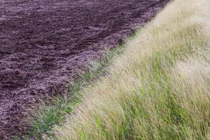 Soil dead grass photo