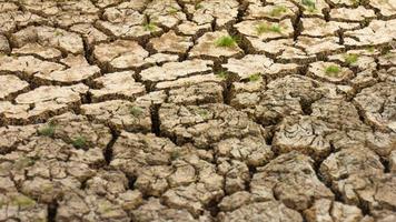 Cracked soil dry grass photo