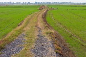 Agriculture rocky dirt road photo