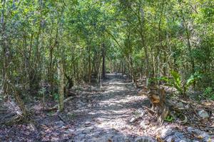 Sendero de trekking a pie en cueva sumidero cenote tajma ha mexico. foto