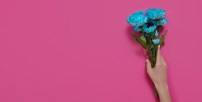 Blue flowers and woman holding hand isolated on pink background. Woman and mother day. Summer concept mock up and copy space. Top view. Flower nature and spring season. Banner photo