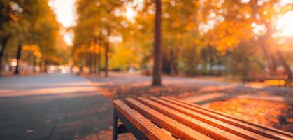 Blurred park urban landscape recreation, bench autumn concept. Wide panoramic closeup, wooden bench, sun rays. Relaxing, peaceful freedom mood photo