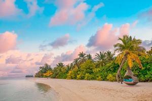 Island palm tree sea sand beach. Panoramic beach landscape. Beautiful tropical beach seascape horizon. Orange and golden sunset sky calmness tranquil relaxing summer. Vacation travel holiday banner