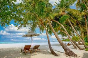 Tropical beach nature as summer landscape with lounge chairs and palm trees and calm sea for beach banner. Luxurious travel landscape, beautiful destination for vacation or holiday. Beach scene