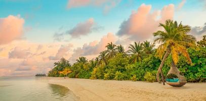 Island palm tree sea sand beach. Panoramic beach landscape. Beautiful tropical beach seascape horizon. Orange and golden sunset sky calmness tranquil relaxing summer. Vacation travel holiday banner photo