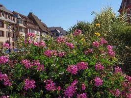 Wissembourg in the french Alsace photo