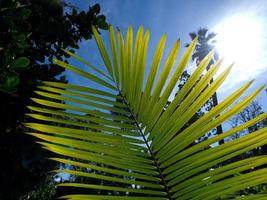 tenerife island in spain photo