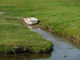 Hallig Hooge in the german north sea photo