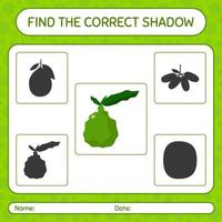 Find the correct shadows game with kaffir lime. worksheet for preschool kids, kids activity sheet vector