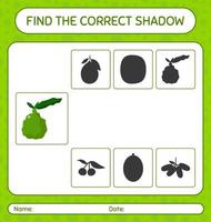 Find the correct shadows game with kaffir lime. worksheet for preschool kids, kids activity sheet vector