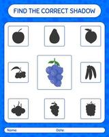 encuentra el juego de sombras correcto con blueberry. hoja de trabajo para niños en edad preescolar, hoja de actividades para niños vector