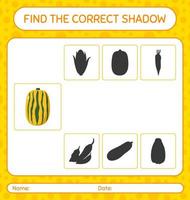 Find the correct shadows game with delicata squash. worksheet for preschool kids, kids activity sheet vector