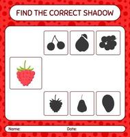 Find the correct shadows game with raspberry. worksheet for preschool kids, kids activity sheet vector