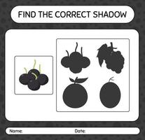 Find the correct shadows game with farkleberry. worksheet for preschool kids, kids activity sheet vector