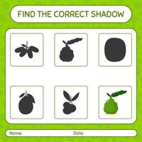 Find the correct shadows game with kaffir lime. worksheet for preschool kids, kids activity sheet vector
