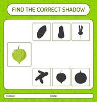 Find the correct shadows game with tomatillo. worksheet for preschool kids, kids activity sheet vector