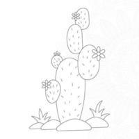dibujos de cactus para colorear para niños vector