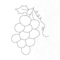 Grapes Coloring Pages for Kids vector