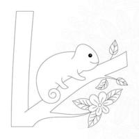 Squirrel Coloring Pages for Kids vector