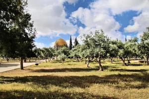 A view of the Dome of the Rock in Jerusalem photo