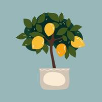 Lemon indoor tpee for interior home vector