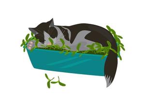 Sleeping cat in the garden box with seedling. vector