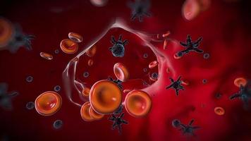 floating viruses with blood cell in blood video