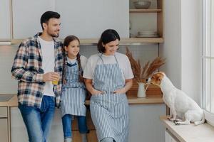 Photo of little female child, her mother and father stand together at modern kitchen, look with funny expressions at jack russell terrier dog, spend weekend at home, going to cook something delicious