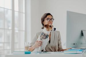 Busy female teacher wears formal clothes and spectacles conducts online lessons for students works at computer poses in coworking space with dog, busy working online. Businesswoman at desktop photo